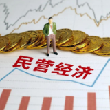 如何呵护民营经济？给“抖派”小官僚的一点建议