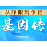 从睁眼到争艳②丨湖南打造改革开放高地“基因传”