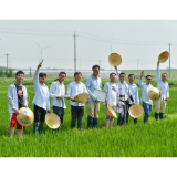 乡村振兴，青春正当时