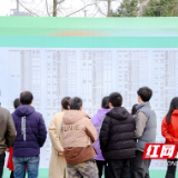 春风暖人心,点亮就业路