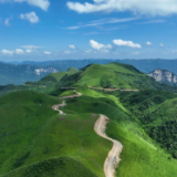 评论丨落实林长令，让“绿水青山”成为“幸福靠山”