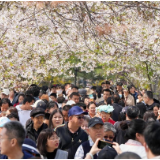 芙蓉国评论丨三大活力“劲头足”拉动中国经济“上春山”