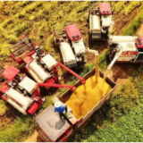 好评中国丨中国粮食安全系统的构建：一幅流动的智慧沃野图景