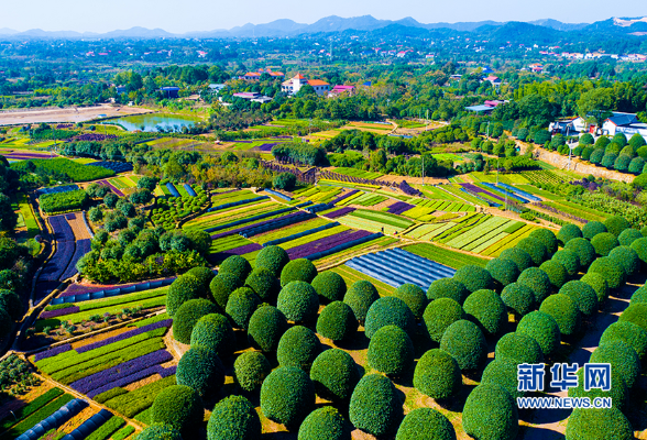 中法携手绿动青春脉搏