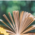 论道训练营丨评论写作的“文体自觉”