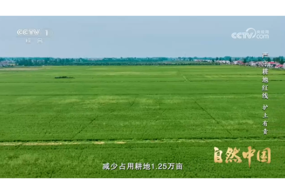 《严守耕地红线》第四集：护土有责 | 自然中国