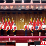 致敬最值得尊敬的人！长沙天心区表彰454名教育先进个人