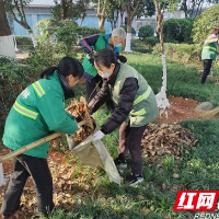 保干净保美观 他们用坚守让春节期间的城市整洁有序