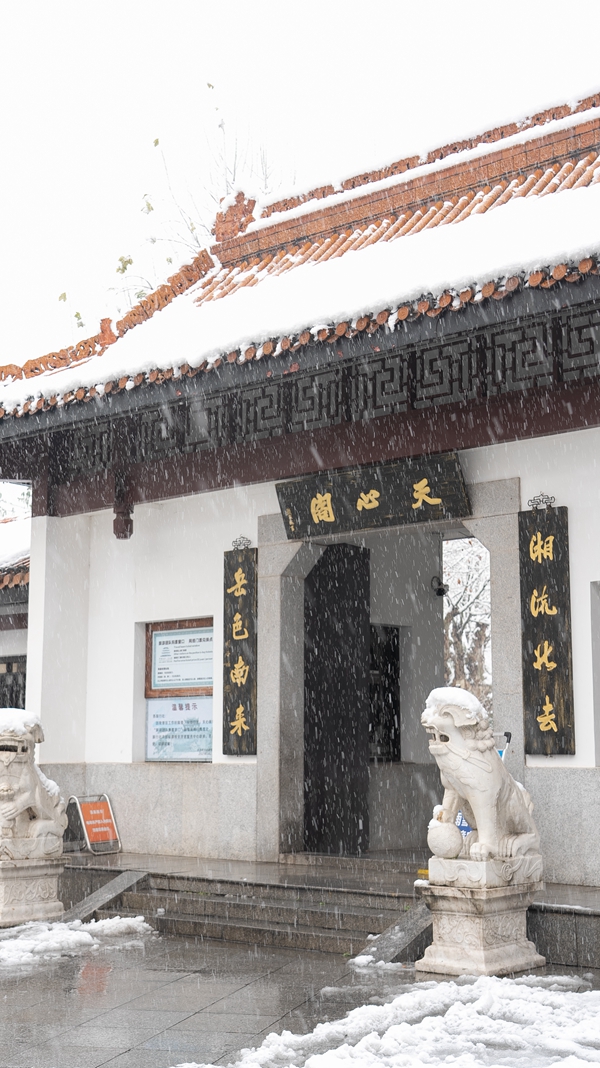 59天心阁·雪——陈乐庆.jpg