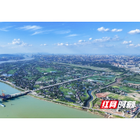 大潮南涌催人奋进 天心区两会代表委员热议政府工作报告