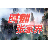 虚假陈述？永定区法院这份“诚信罚单”请收下