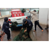 慈利县零阳镇：开展重点水域禁捕退捕常态化巡查工作