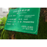 十一树下话情缘 不能忘记的红色记忆