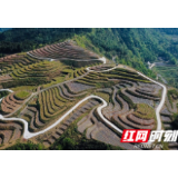 天门郡莓茶成为“中国·张家界首届世界遗产摄影大展”指定用茶