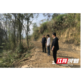 慈利县岩泊渡：“井”字型生物防火隔离带为1500亩绿水青山撑起保护伞