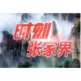张家界市工信局召开生物医药（植物提取）产业集群发展座谈会