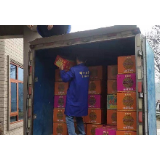 慈利县烟花爆竹“打非治违”专项整治行动成效显著