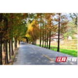 张家界市永定区打好交通扶贫攻坚战， 贫困村修起“致富路”