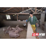 武陵源：毛成明获评省残疾人阳光致富示范户（带头人）