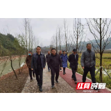 张家界市河长办一行深入武陵源区协合乡督查指导河长制工作