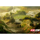 【讲述：我们的奋斗故事】怒放的国土