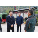 祝云武深入乡镇调研督导脱贫攻坚工作