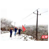 国网张家界供电公司：山中踏雪巡线 保障群众用电