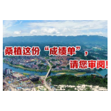 【图解】桑植这份“成绩单”，请您审阅！
