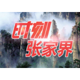 桑植县政协委员分组讨论政府工作报告