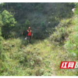 慈利县许家坊土家族乡：齐抓共管扎牢森林防火防线