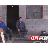 “95后”陈鸿鸣：青春在党和人民最需要的地方绽放