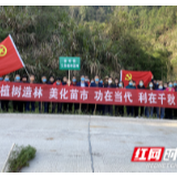 慈利县苗市镇：春光里，他们种下希望的小树苗