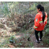 慈利县龙潭河镇：严防森林火灾，守卫满园春色
