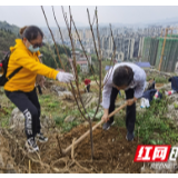 张家界市住建局开展义务植树主题党日活动