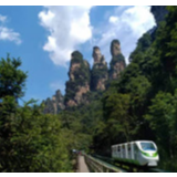 山呼海应战疫情 侨爱温暖三千峰——侨界支持张家界抗疫记