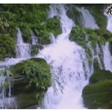 【视频】永定区“最美春景”：流云飞瀑花溪谷