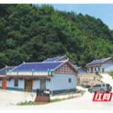 鱼泉峪村：枝头花开好春光，共谋乡村好发展