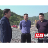 慈利县领导调研县工业集中区“EPC+0”项目工作情况