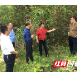 张家界市民政局指导三官寺土家族乡罗潭村脱贫攻坚工作