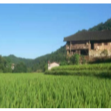 平安建设暖人心 “雪亮乡村”在南山坪乡白果村落地生根