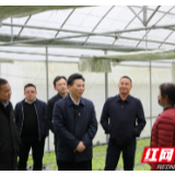 祝云武调研天门山镇项目建设、脱贫攻坚、防汛备汛及森林防火工作