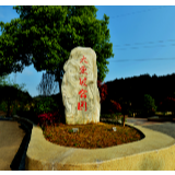 【视频】永定区“最美春景”：人间四月天，漫步大庸桥