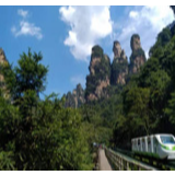 武陵源区索溪峪街道金杜村：奖扶措施助力村民增产增收
