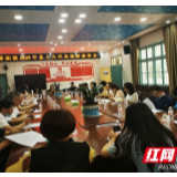 慈利县零阳镇：人大代表、政协委员开展疫情防控复工复产复学的视察