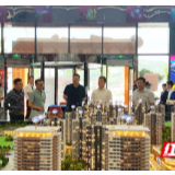 湖南发展集团来张家界进行投资考察