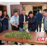 张家界航院：党委会开进帮扶村