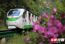 武陵源：智慧平台显身手 客流预判精准率超九成