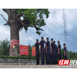 张家界监狱第二党支部赴红军树主题公园开展主题党日