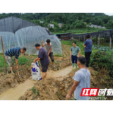 慈利县许家坊土家族乡：精锐尽出 防汛防灾进行时