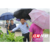 赵云海到乡镇检查汛期安全工作